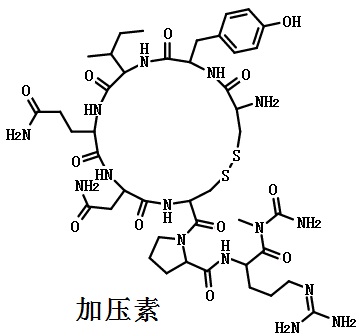 加压素的结构式